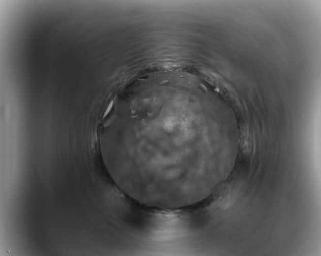 X0000088690523200706071522