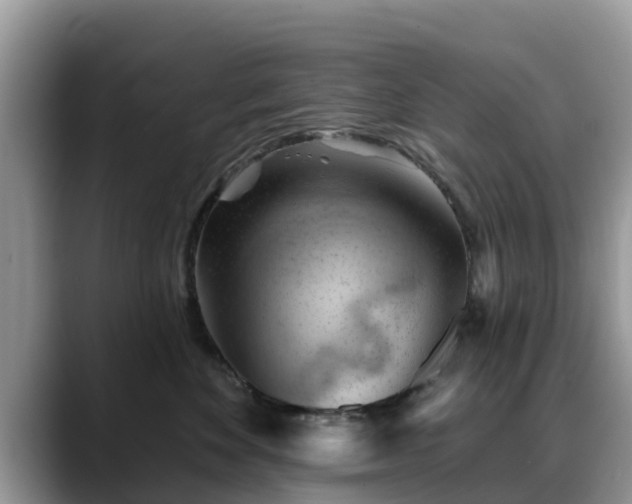 X0000088690524200706071522