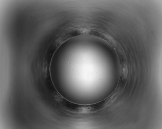 X0000088690525200706071522