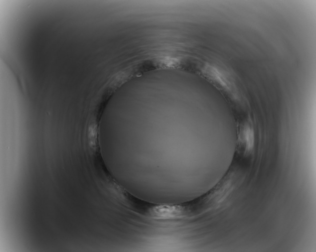 X0000088690526200706071522