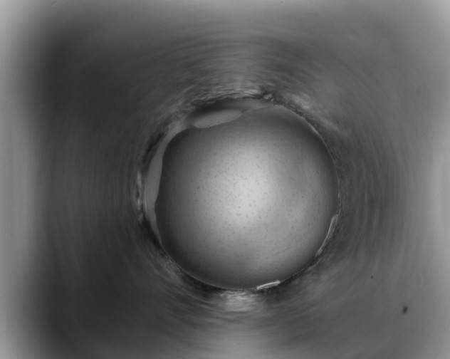 X0000088690528200706071522