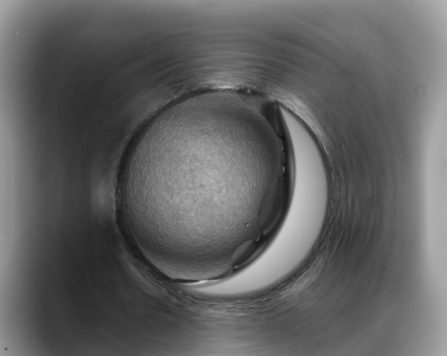 X0000088690530200706071521