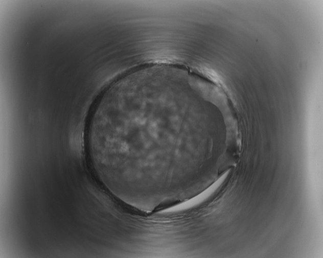 X0000088690531200706071521