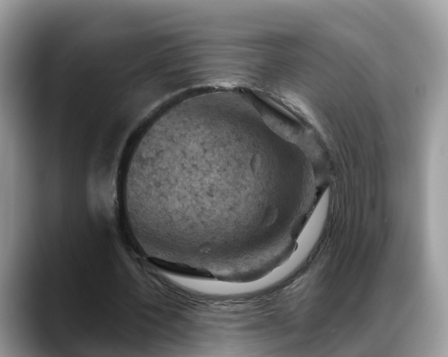 X0000088690532200706071521