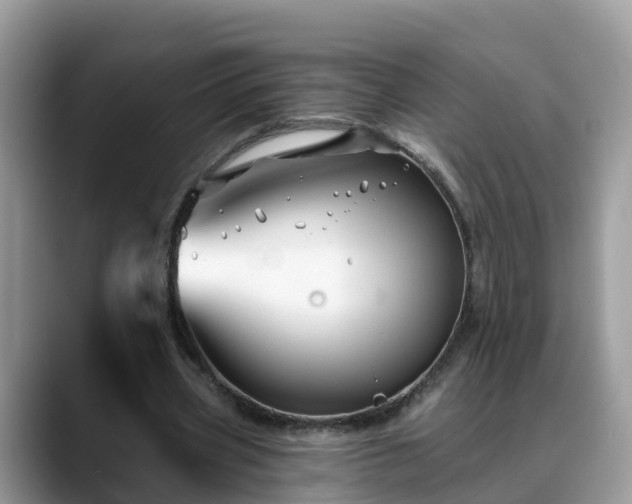 X0000088690533200706071521