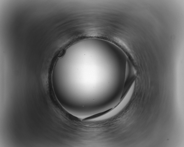 X0000088690535200706071521