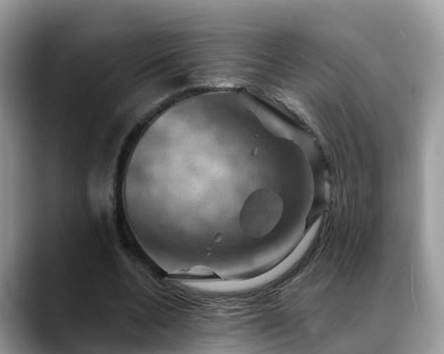 X0000088690536200706071521