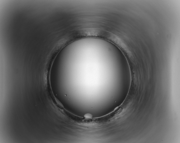X0000088690537200706071521
