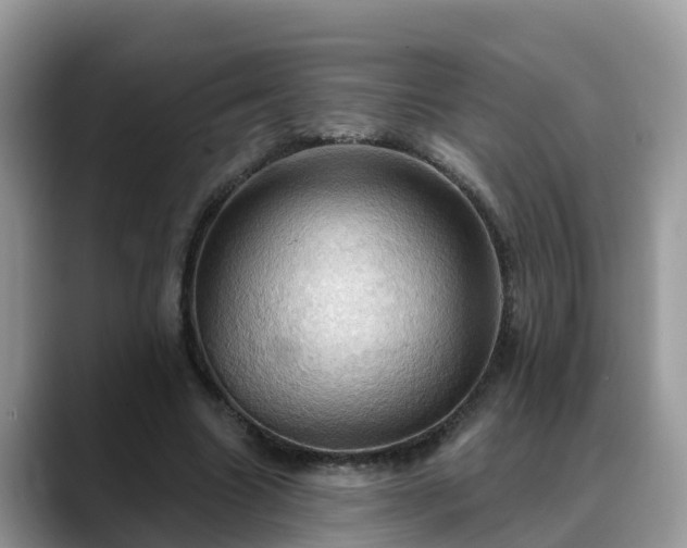 X0000088690538200706071521