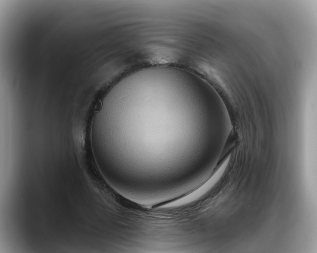 X0000088690539200706071522