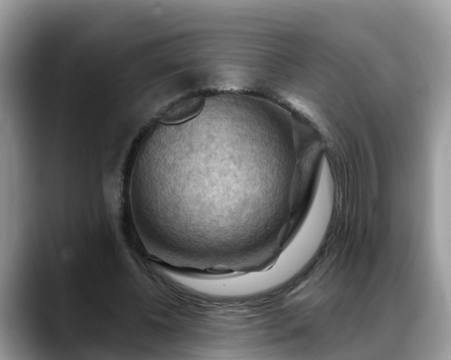 X0000088690540200706071522