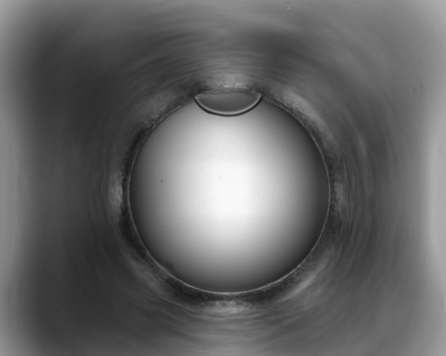 X0000088690541200706071522