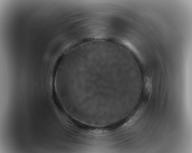 X0000088690542200706071522