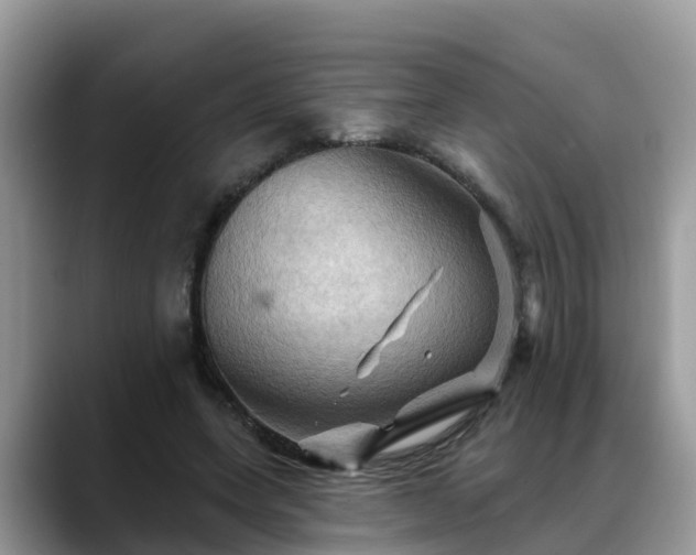 X0000088690543200706071522
