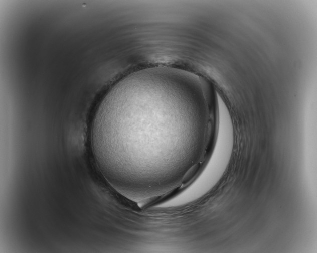 X0000088690544200706071522
