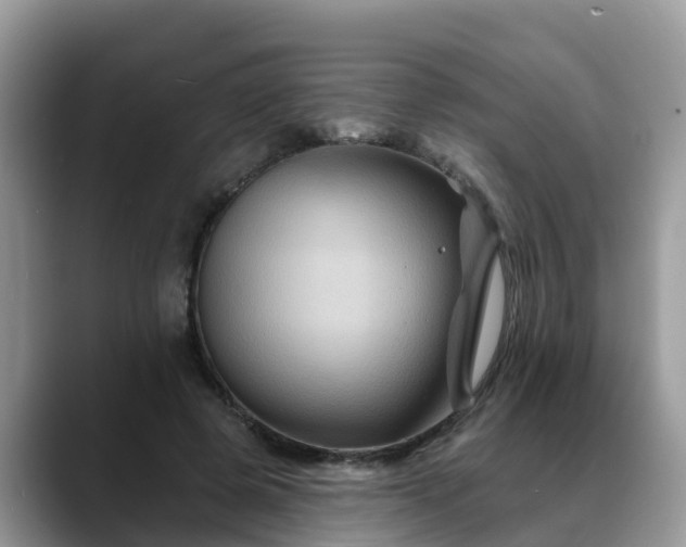 X0000088690545200706071522