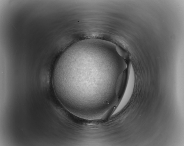 X0000088690546200706071522