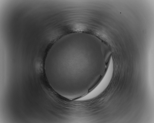 X0000088690547200706071522