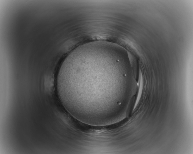 X0000088690548200706071522