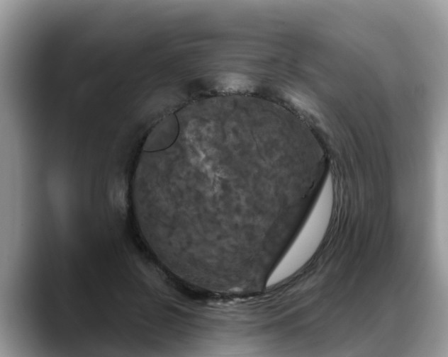 X0000088690550200706071522