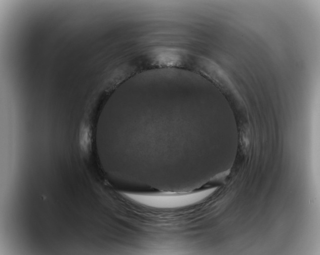 X0000088690551200706071522
