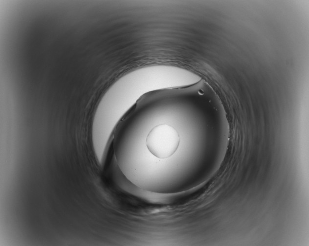 X0000088690552200706071522