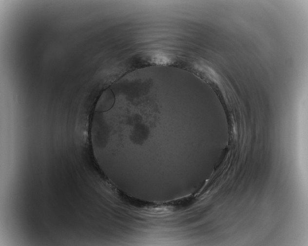 X0000088690553200706071522