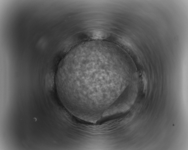X0000088690554200706071522