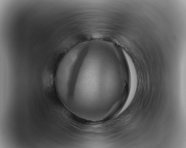 X0000088690555200706071522
