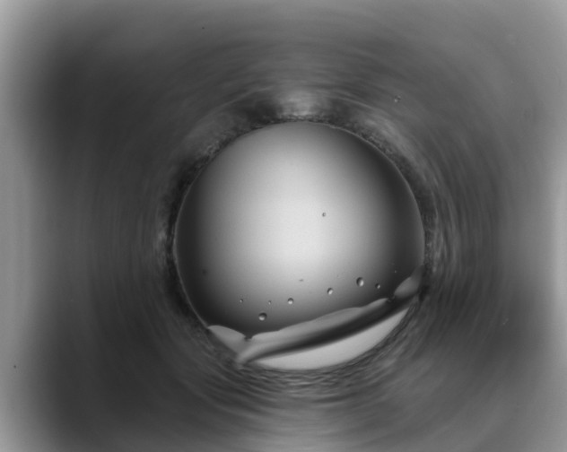 X0000088690557200706071522