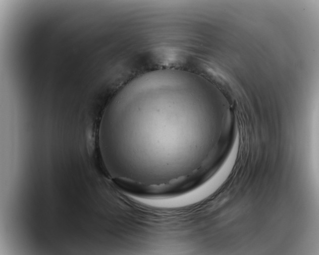 X0000088690558200706071522