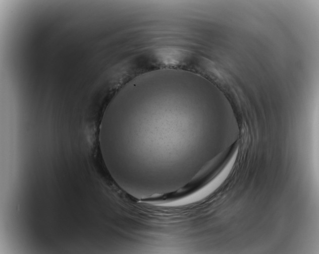 X0000088690559200706071522