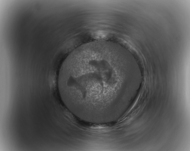 X0000088690561200706071522