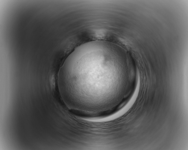 X0000088690562200706071522