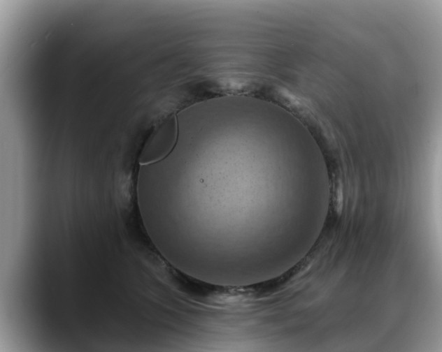 X0000088690563200706071522