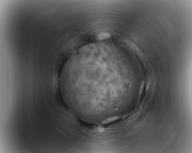 X0000088690565200706071522