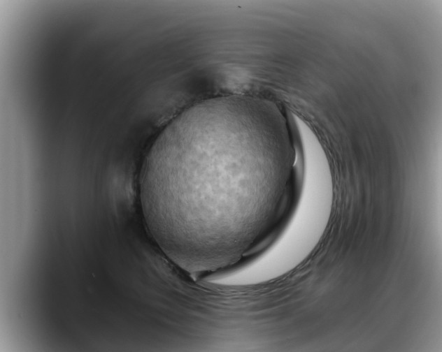 X0000088690566200706071522