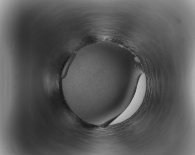 X0000088690570200706071522