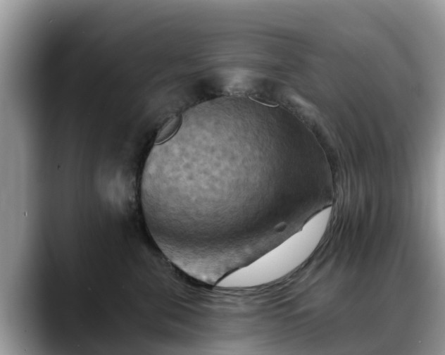 X0000088690571200706071522