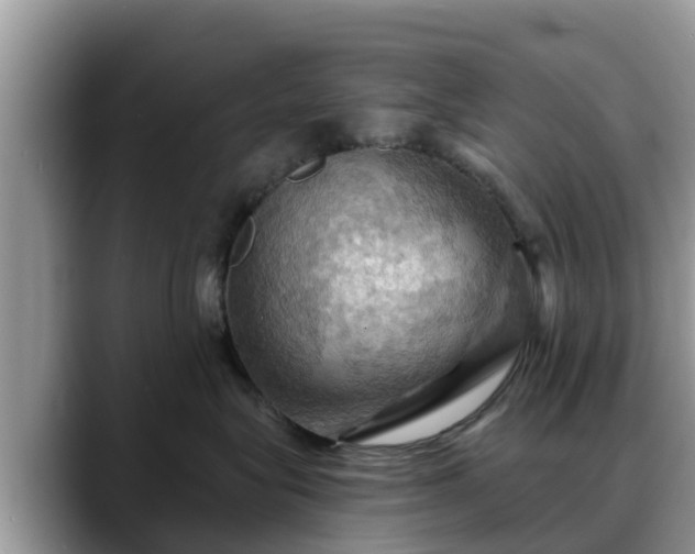 X0000088690575200706071522