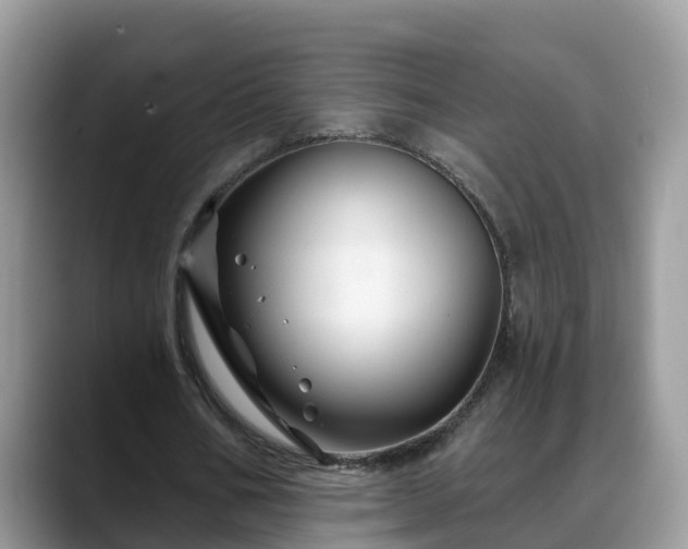 X0000088690578200706071521