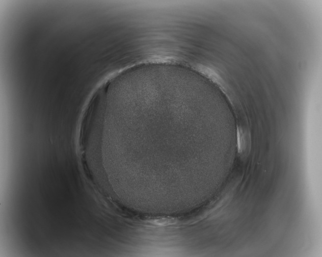 X0000088690579200706071521