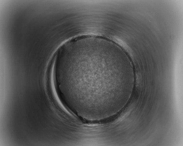 X0000088690580200706071521