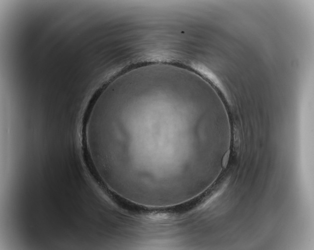 X0000088690581200706071521