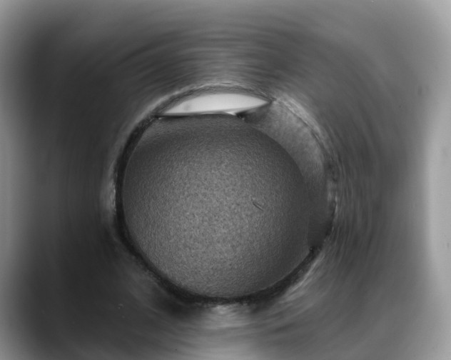 X0000088690584200706071521