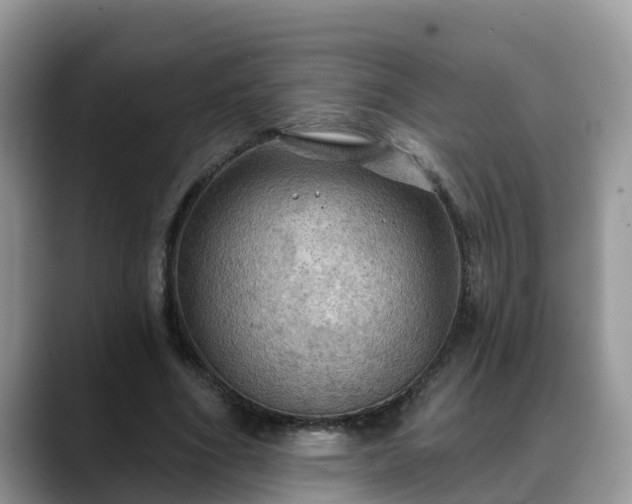 X0000088690586200706071521