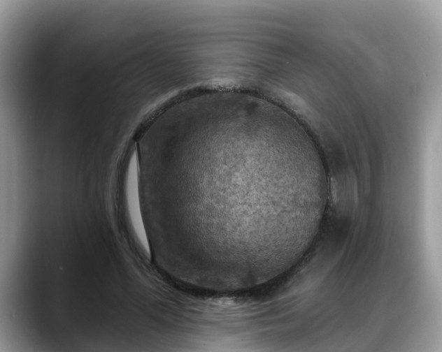 X0000088690588200706071521