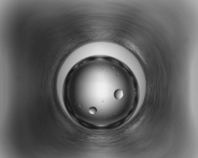 X0000088690589200706071521
