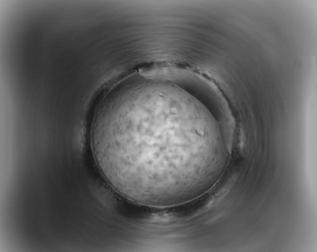 X0000088690591200706071521