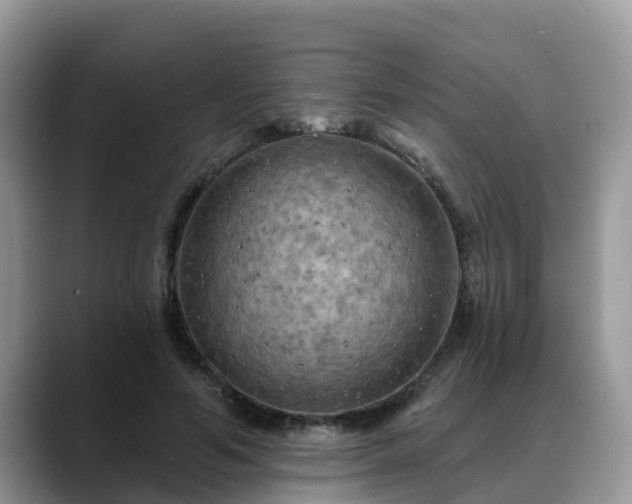 X0000088690594200706071521